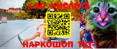 спиды Донской