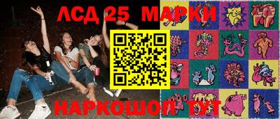 спиды Донской
