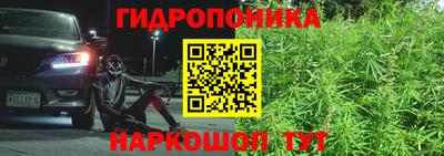 спиды Донской