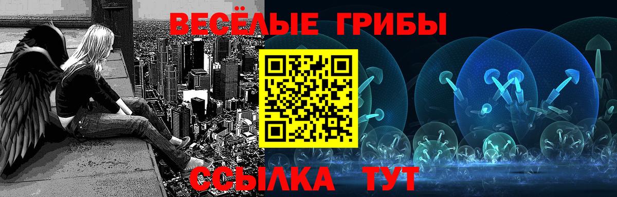 Псилоцибиновые грибы Magic Shrooms Ногинск